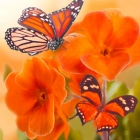 Семья Кузневых