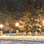 Татьяна Евгеньевна